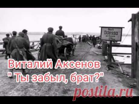 Виталий Аксёнов . -Ты забыл, брат?-