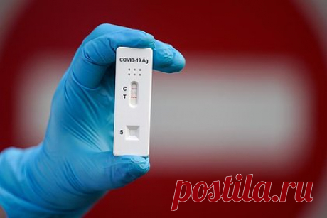 Названы самые ранние предвестники COVID-19. Отоларинголог, врач высшей категории и кандидат медицинских наук Владимир Зайцев назвал самые ранние признаки заражения коронавирусной инфекцией. Первыми симптомами вируса являются заложенность носа и першение в горле, заявил врач. Отоларинголог также поделился интересной особенностью протекания заболевания.