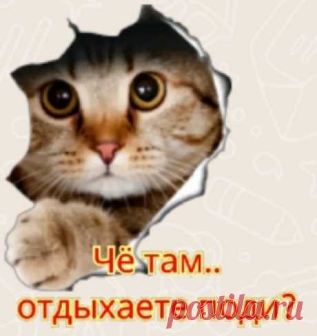 Отдыхаете?