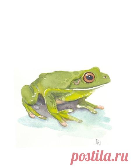 Frog Watercolor by Water In My Paint / J-1 | I love frogs!