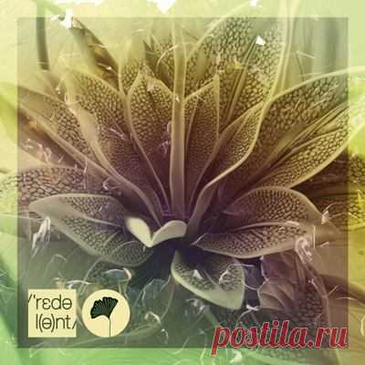 Tebra, Bakean - Outra Vez (Dimo (Bg) Remix)