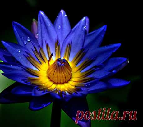 Редактировать описание