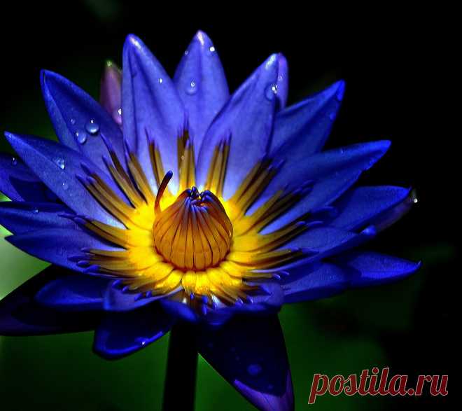 Редактировать описание