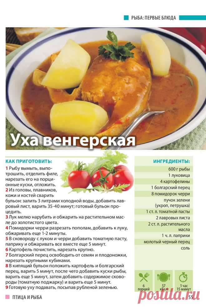 Уха венгерская