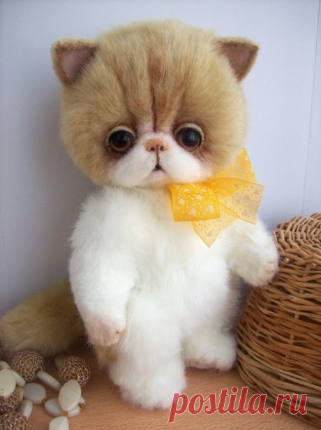 Выкройки кошек тедди