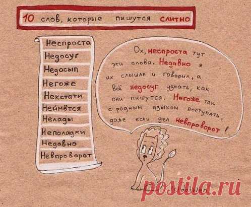 (1) Одноклассники