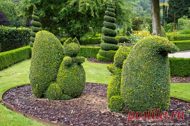 Прогулка по бельгийскому парку топиара | Все о туризме и отдыхе