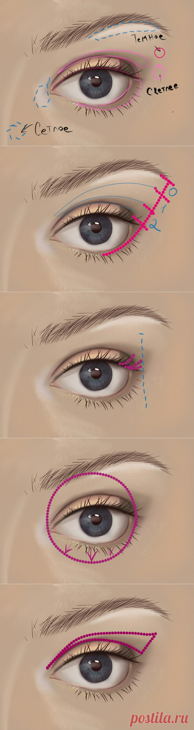Макияж глаз в шпаргалках и схемах, помогут новичкам сразу правильно краситься | Елена Юлкина | Яндекс Дзен