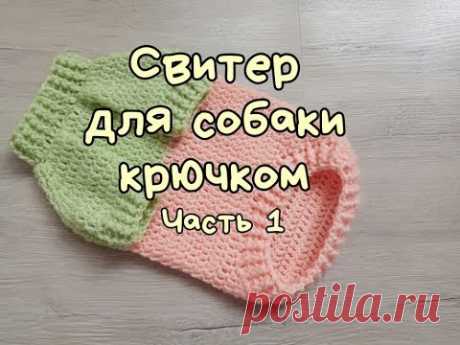 Свитер для собаки крючком, часть 1,DIY Clothes for dogs and cats