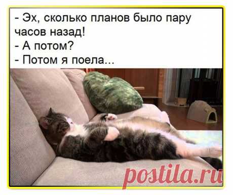Юлия Полюдовкина