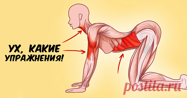 7 упражнений японского целителя Кацудзо Ниши, которые способны творить чудеса с женским организмом.