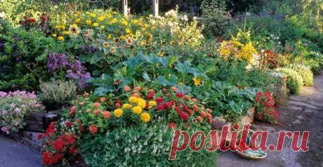 Как сделать высокие грядки на даче: 100 полезных идей