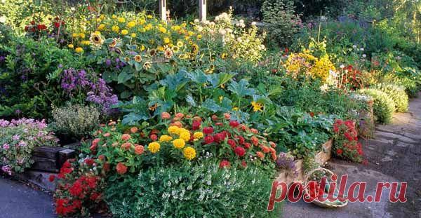 Как сделать высокие грядки на даче: 100 полезных идей