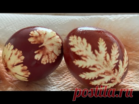 Eiefarben,اگه هیچ رنگی توخونه نداری تخم مرغ های هفت سین رو اینجوری میتونی رنگ کنی