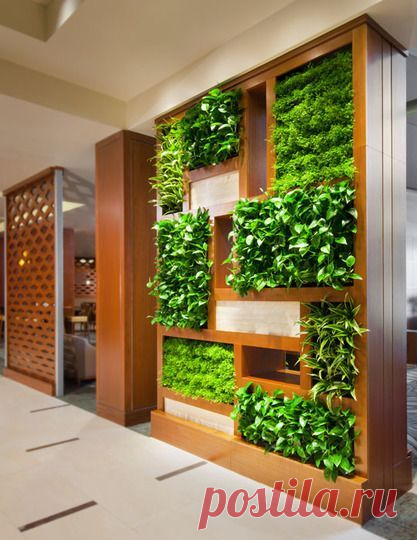 Tips For Growing & Automating Your Own Vertical Indoor Garden