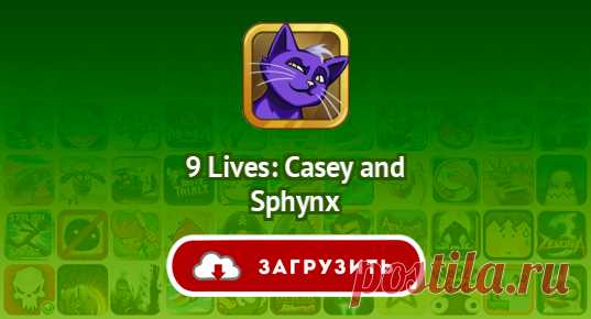 9 Lives: Casey and Sphynx