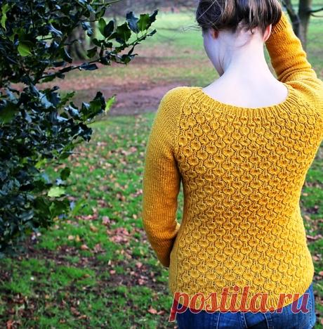 Маленькая ANEMONE Светланы Волковой