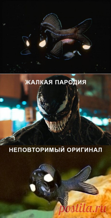 Фонареглаз: Мы — Веном! | Книга животных | Яндекс Дзен