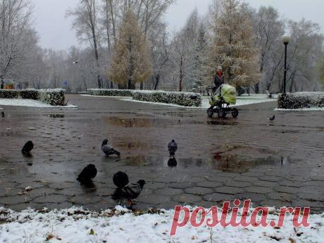 ♥42 регион♥
Алексей Завора