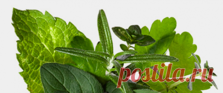 Global Ingredients | Есть вопросы? Напишите нам!