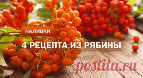 Наливка из рябины: 4 рецепта в домашних условиях