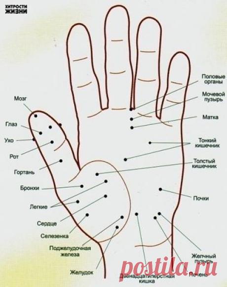 Хитрости жизни