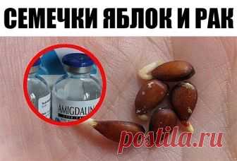 Семечки яблок и рак: десятки лет это держалось в секрете!

Любая отрасль медицинской индустрии построена на больших деньгах. Ежегодно проводятся конференции и симпозиумы, которые собирают ученых мужей со всего мира. Государства выделяют многомиллионные дотации на развитие медицины. Существуют десятки и сотни благотворительных организаций, которые проводят арт-мероприятия и аукционы для сбора средств.

Новые медицинские препараты появляются каждый месяц, перед этим пройдя н...
