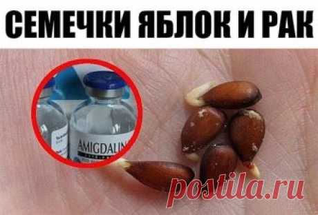 Семечки яблок и рак: десятки лет это держалось в секрете!

Любая отрасль медицинской индустрии построена на больших деньгах. Ежегодно проводятся конференции и симпозиумы, которые собирают ученых мужей со всего мира. Государства выделяют многомиллионные дотации на развитие медицины. Существуют десятки и сотни благотворительных организаций, которые проводят арт-мероприятия и аукционы для сбора средств.

Новые медицинские препараты появляются каждый месяц, перед этим пройдя н...