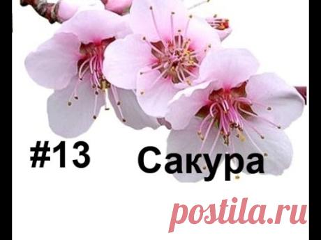 Сакура из фоамирана. Лариса Аптриева, МыловароФФ, Ошибки ручной работы