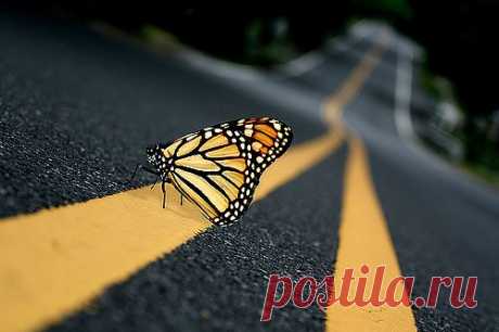 March | 2012 | The Best Travel Photos