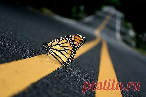 March | 2012 | The Best Travel Photos