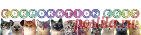 Сorporation Сats