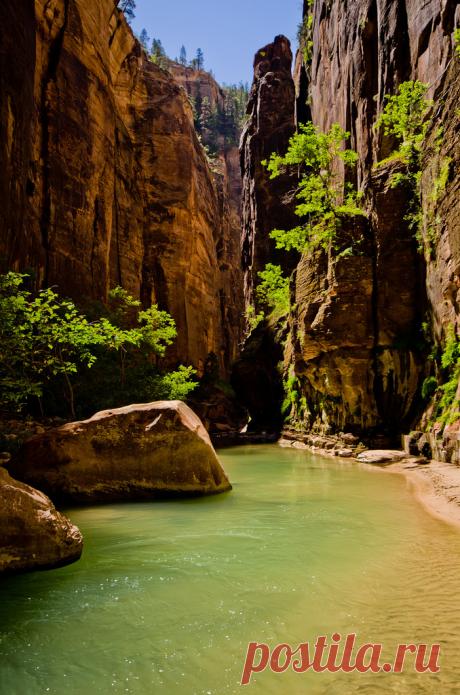 breathtakingdestinations:
“Zion National Park - Utah - USA (von Law Blog)
”