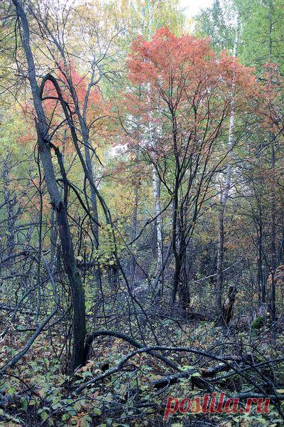 Фотография без границ. | Facebook