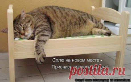 Одноклассники