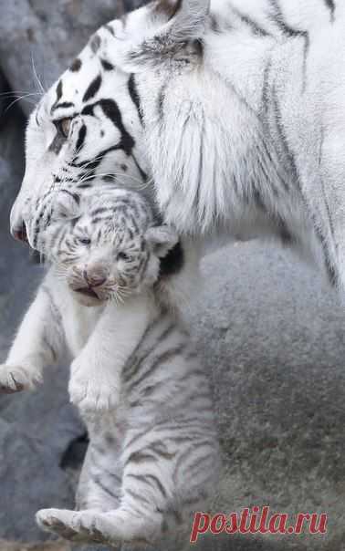 Мой Мир@Mail.Ru