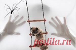 Как правильно использовать технику перемотки