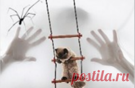 Как правильно использовать технику перемотки