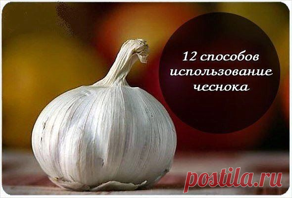 Чеснок и его сила 12 способов использования — Всегда в форме!