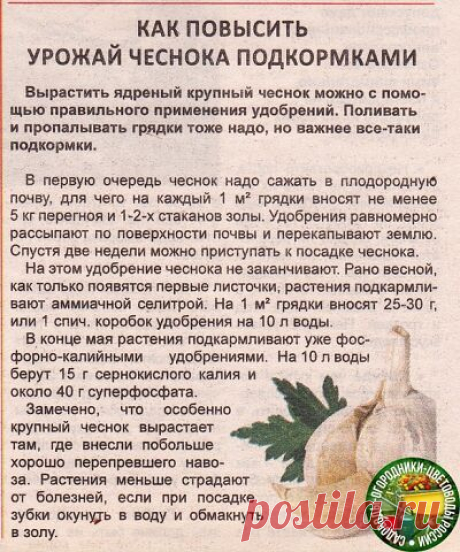 Дача своими руками — Разное | OK.RU