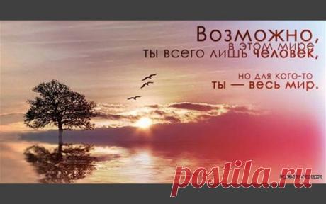«А жизнь ведь проста. Она, правда, не всегда сахар, но простоту жизни надо понимать сердцем, а не головой. Сердце никогда не усложняет жизни. Сердце у человека одно, а извилин в голове — миллиарды. Голова рождает сложности. Слушайся своего сердца». Анатолий Солоницын