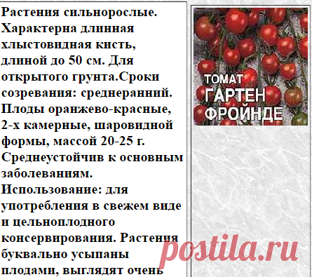 ТОМАТ ГАРТЕН ФРОЙНДЕ