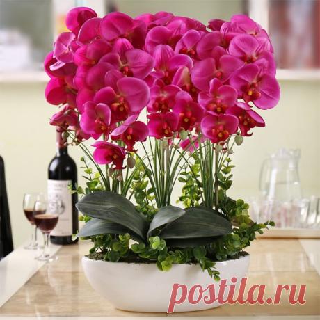 АПТЕЧКА ДЛЯ ОРХИДЕИ. АПТЕЧКА ДЛЯ ОРХИДЕИ. КРАТКИЙ СПИСОК 
1. Древесный уголь, активированный уголь – дезинфекция, подсушивание. Средства от грибков. Припудривать места срезов. 
2. Фундазол – системный фунгицид. Защита от пятнистостей, мучнистой росы, снежной плесени, сажек, корневой гнили и прочих заболеваний грибковой природы. Точечные раны обрабатывают кашицей фундазола (0,5 ч.л. порошка на 1 ч.л. воды), для опрыскивания разводят 1 ч.л. порошка на литр воды. 
3. Фитоспор...