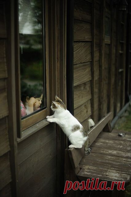 А август снова к нам придет? Конечно, через год...)))
       -----------Только это будет... уже совсем другая история------------