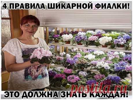 ПРАВИЛА ШИКАРНОЙ ФИАЛКИ!

С помощью этих основных правил, я выращиваю целый цветник фиалок у себя на подоконнике. 

- Поставь горшок с растением в уютное место, где достаточно света, но не слишком много солнца. Исключи попадание прямых солнечных лучей в обеденное время. Оптимально поставить фиалку на западное окно либо повесить плотные занавески. 

- Выбирай небольшой горшок, примерно на десять сантиметров в высоту и не более тринадцати сантиметров в диаметре. Из материала...