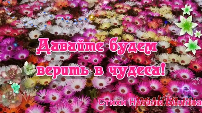 Давайте будем верить в чудеса! Открытка для друзей🌼(Бесплатная открытка)🌷