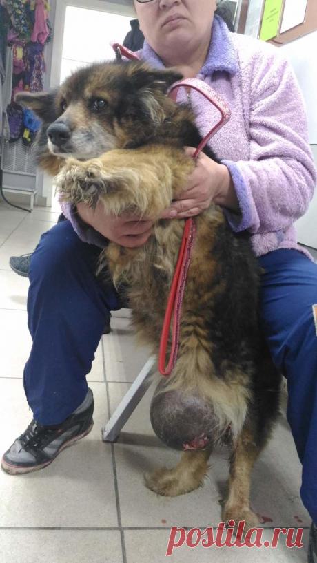 (74) Одноклассники