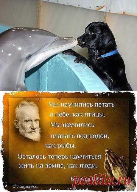 Одноклассники