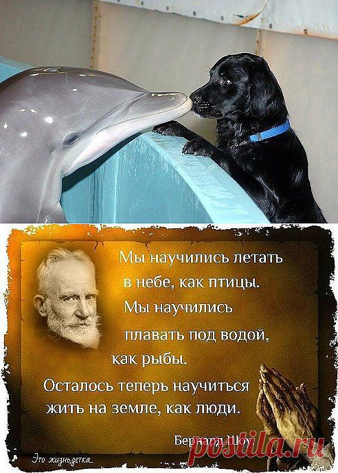 Одноклассники