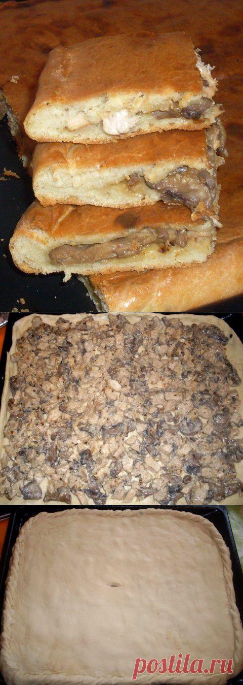 Пирог с курицей и грибами из бездрожжевого теста на кефире | Четыре вкуса
